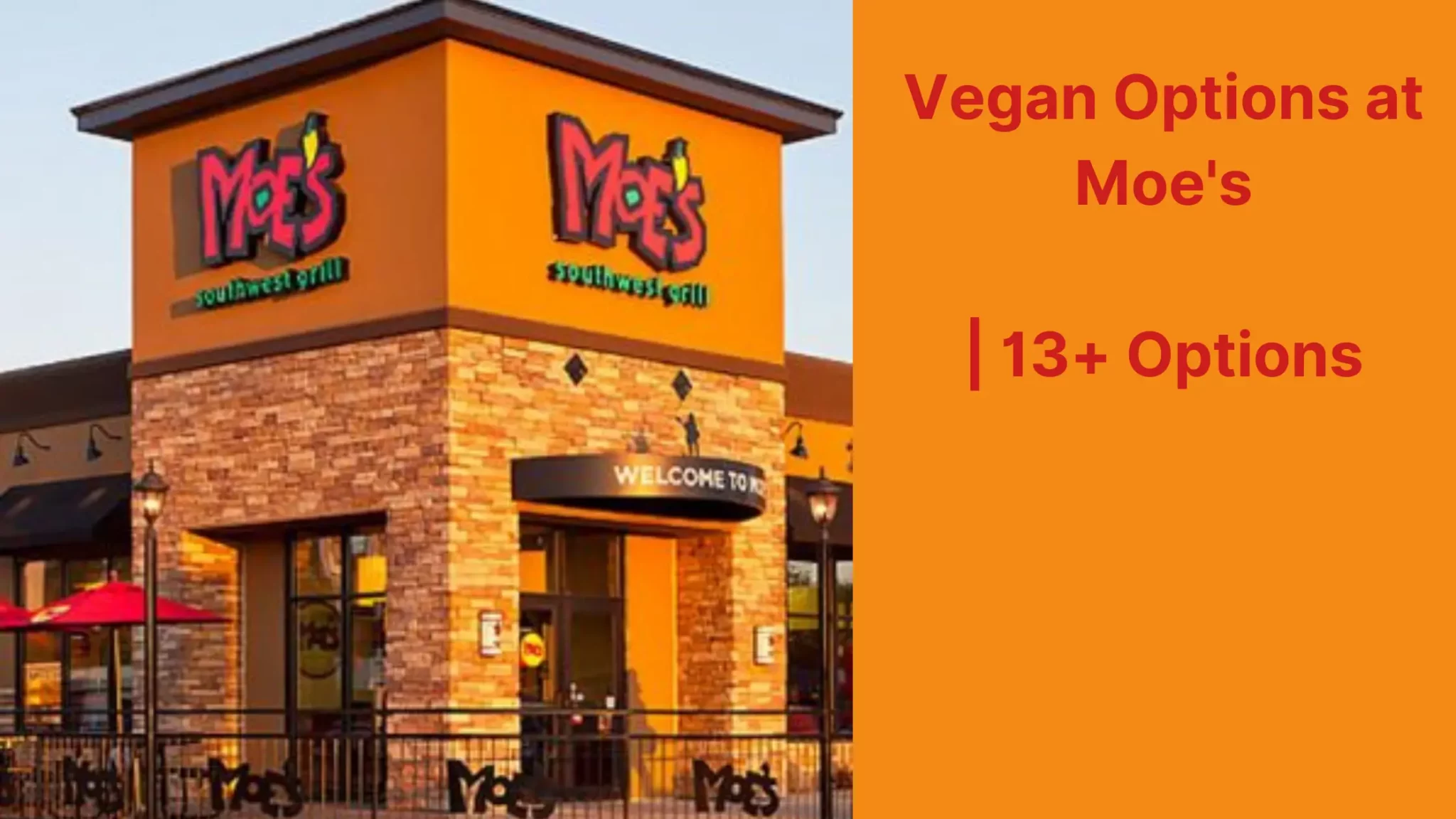 Vegan Options at Moe's